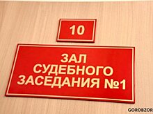 Суд Петербурга отменил штраф бывшему зампредседателя местного ВООПИиК за дискредитацию ВС