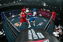 В Екатеринбурге стартовали соревнования по боксу