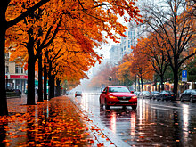 На выходных жителей Подмосковья ожидают дожди и сильный ветер