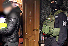 ФСБ задержала в Омске лидеров российского сообщества нацистов «Норд»