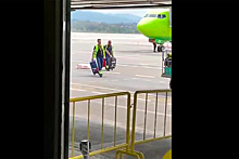 Грузчики в аэропорту раскидали багаж и попали на видео