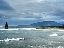 Гренландский кит чудом спасся от косаток на отмели в Хабаровском крае