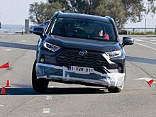 Названа опасность автомобилей, проваливших «лосиный тест»