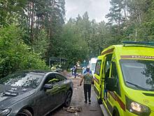 Российский подросток угнал у отца машину и устроил ДТП на остановке