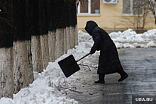 Жителей Замоскворечья призывают самостоятельно чистить снег