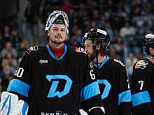 Лимож и Фукале спасли котенка в Минске после тренировки «Динамо». Зак выбежал на дорогу и остановил поток машин