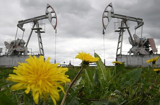 Цены на нефть снижаются с двухнедельного максимума после тарифной сделки США и Китая; ожидается ИПЦ США