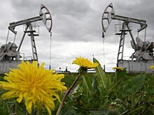 Цены на нефть снижаются с двухнедельного максимума после тарифной сделки США и Китая; ожидается ИПЦ США