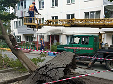 В Приморье устраняют последствия тайфуна «Майсак»