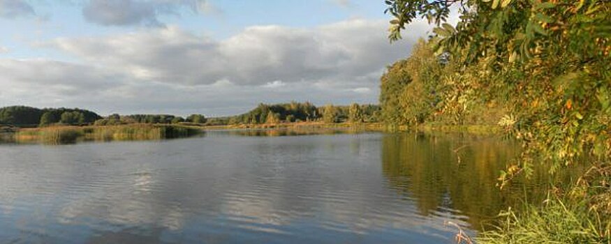 В Калужской области запретили купаться в 10 водоемах
