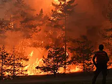 В Новороссийске потушили лесной пожар