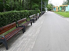 Проект «Кинопрактикум» возобновляет работу в парке «Кузьминки»