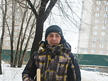 Дворницкий переворот