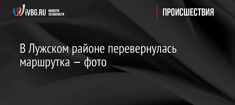 В Лужском районе перевернулась маршрутка — фото