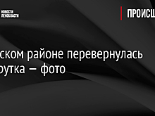 В Лужском районе перевернулась маршрутка — фото