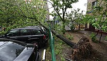 Треть ущерба автовладельцам от урагана в Москве покрыта каско