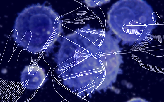 Проведено первое клиническое испытание генетически отредактированных T-лимфоцитов