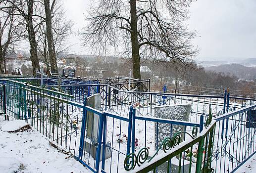 Цену на памятник лидеру чеховской ОПГ сравнили с квартирой