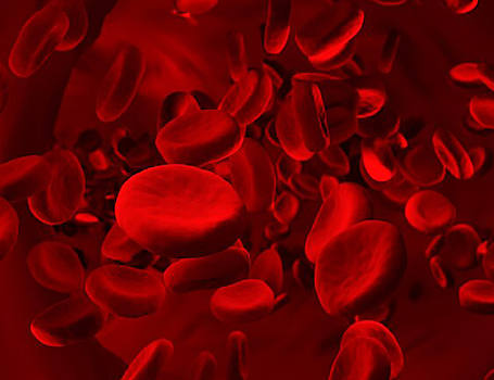 Новые производные хитозана помогают быстрее останавливать кровотечения