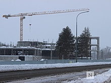 «Неизбежная беда»: экологи заявили о рисках из-за новой школы на Бору