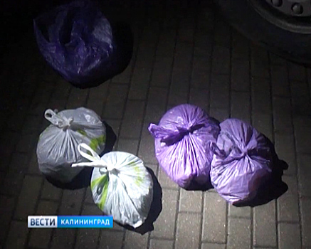 Пограничники задержали россиянина, пытавшегося провезти в Литву более 17 килограммов янтаря