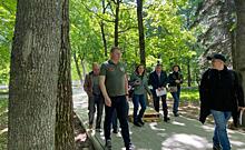 В парке Бородино куряне, чиновники и экологи осмотрели деревья