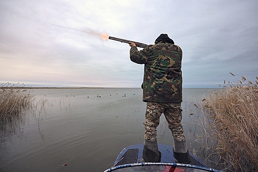Сенаторы одобрили закон об экзамене для получения охотничьего билета