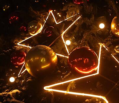 Центральный ЗАГС Новосибирска украсят подсветкой за 1,2 миллиона рублей