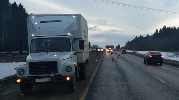На Вологодской трассе грузовик насмерть сбил пешехода
