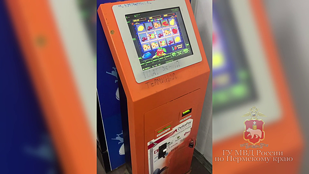 В Перми полиция выявила в магазине «однорукого бандита», замаскированного под платёжный терминал