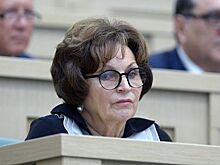 В Совфеде прокомментировали идею снизить возраст совершеннолетия