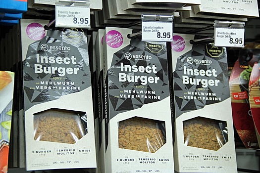 В рацион европейцев включат личинки