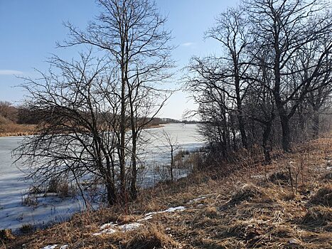 Артёмовские луга могут преобразовать в пригородный парк