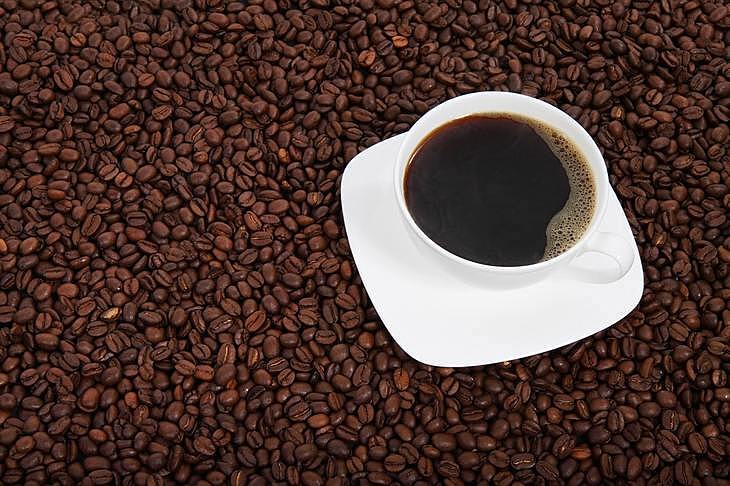 Ученые открыли новый вид кофе для альтернативы арабике после глобального потепления