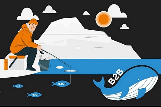 Цифровые сервисы B2B vs B2C