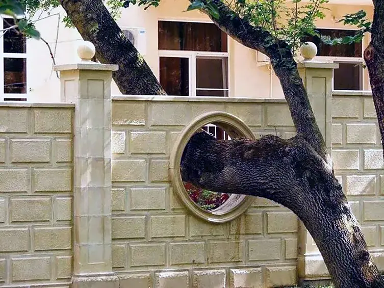 Дыра в заборе