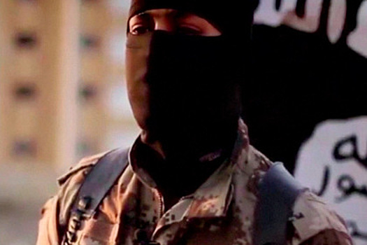 Жизнь джихадистов показали на видео
