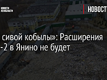 «Бред сивой кобылы»: Расширения МПБО-2 в Янино не будет