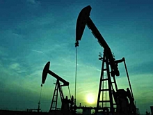 Новак оценил потенциал нефтегазовых контрактов в Иране для российских компаний