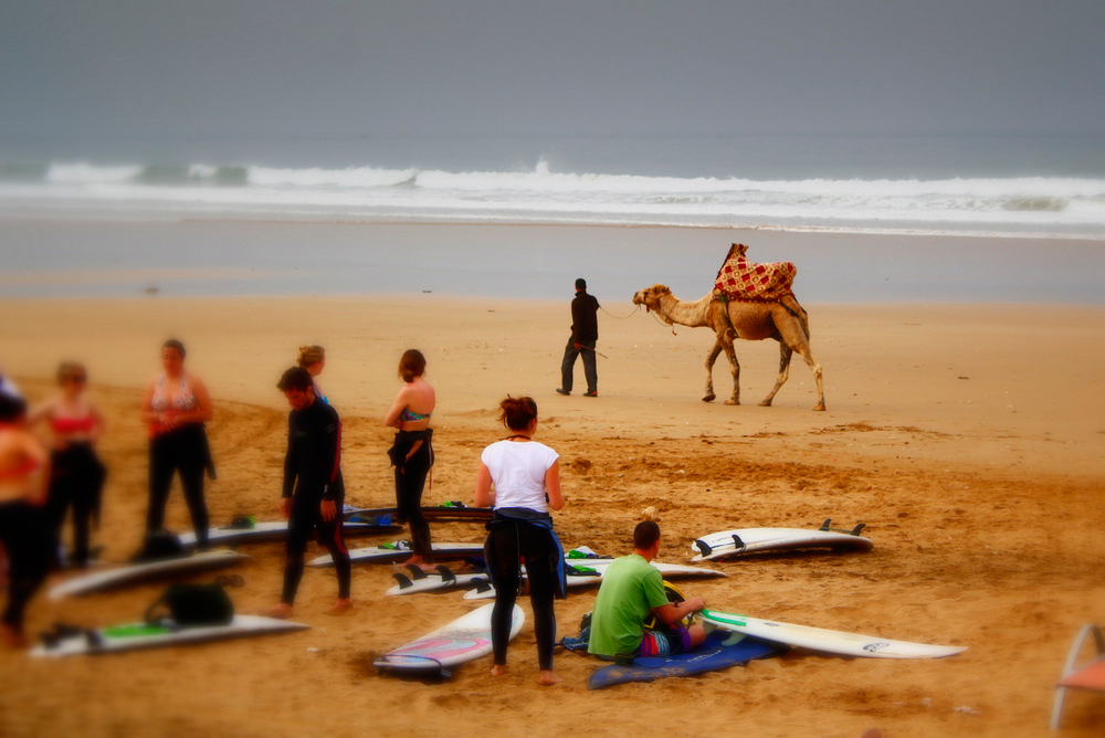 Школа Серфинга Surf Holidays, Марокко, Африка