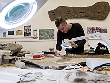 Обнаружены останки морского ящера-мозазавра