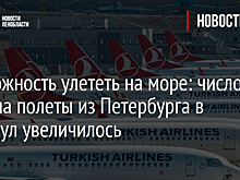 Возможность улететь на море: число мест на полеты из Петербурга в Стамбул увеличилось
