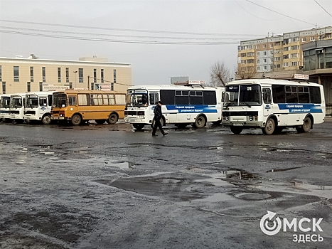 Омичи лишились ещё нескольких рейсов в область