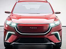 Турецкая компания TOGG привезет в РФ новый электрический кросс