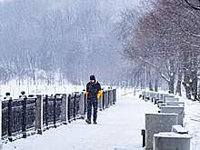 Синоптик пообещал москвичам 20-градусные морозы