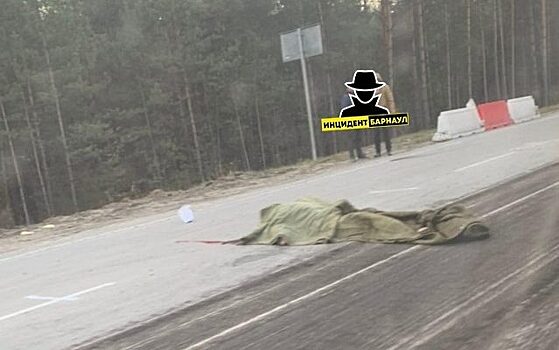 Дорожный рабочий погиб под МАЗом в Барнауле