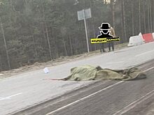 Дорожный рабочий погиб под МАЗом в Барнауле