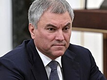 Володин рассказал, как США и ЕС «раскачивают ситуацию» в Сербии