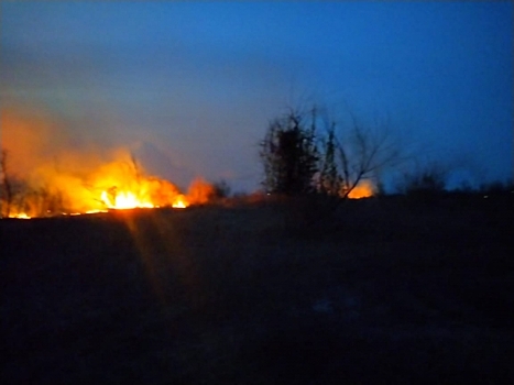 Лесные пожары потушены в 13 районах Красноярского края