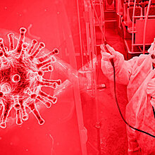Пандемия в цифрах и фактах. Бюллетень коронавируса на 21.00 14 мая